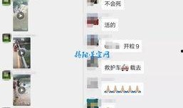 爆料小孩溺水事件视频,紧急救援瞬间引关注