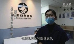 医养宠物医院最新爆料,宠物健康护理新趋势