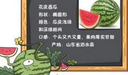 吃瓜庄园小说免费阅读,揭秘娱乐圈背后的秘密