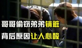 苏弟被爆料偷东西视频,真相与争议并存