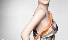 袁莉爆料李红简介视频,揭秘背后真相，视频曝光惊人内幕